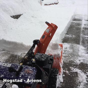Hogstad - Ariens