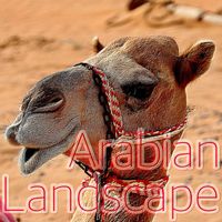 Ney - Arabian Landscape