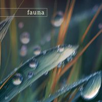 Fauna - grand canyon (nature)