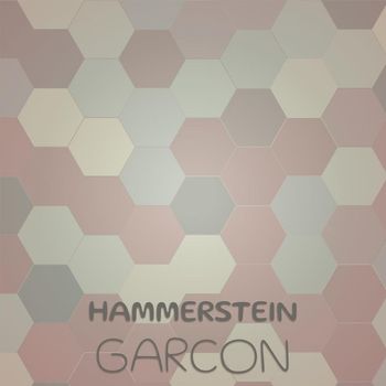 Various Artists - Hammerstein Garcon