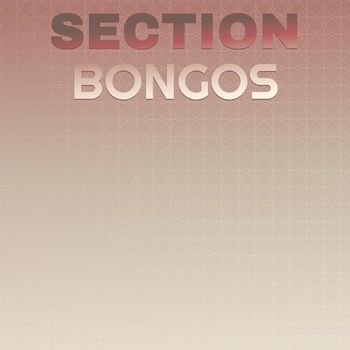Various Artists - Section Bongos