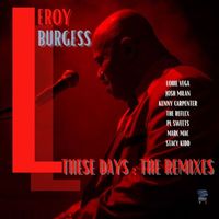 Leroy Burgess - These Days (The Remixes)
