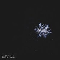 Jacob Trautner - Snowflake