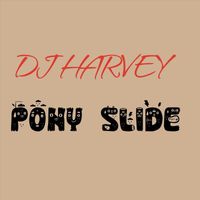 DJ Harvey - Pony Slide