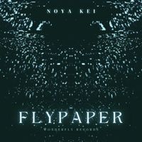 Noya Kei - Flypaper