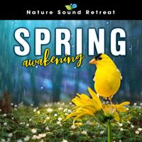 Nature Sound Retreat - Spring Awakening