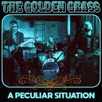 The Golden Grass - A PECULIAR SITUATION