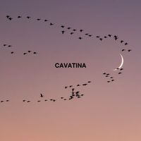 Tranquil Cove - Cavatina