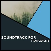Relaxing Chill Out Music - Soundtrack For Tranquility