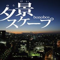 Bonobos - Yuukei Scape