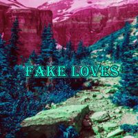 DJ Kool - Fake Loves