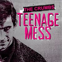 The Crumbs - Teenage Mess
