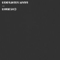 Livigesh - Underwater Loops
