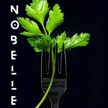 Nobelle - Vegan (Explicit)