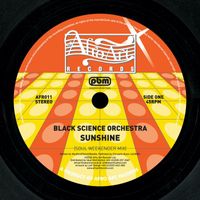 Black Science Orchestra - Sunshine