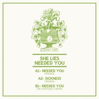 She Lies - Needed You