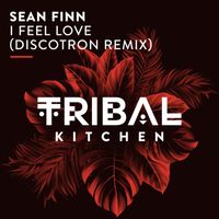 Sean Finn - I Feel Love (Discotron Remix)