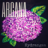 Arcana - Hydrangea