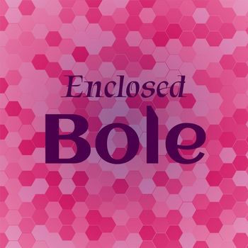 Various Artists - Enclosed Bole