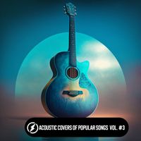 Various Artists - Acoustic Covers of Popular Songs Vol. #3