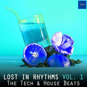 Various Artists - Lost in Rhythms, Vol. 1 (The Tech & House Beats)