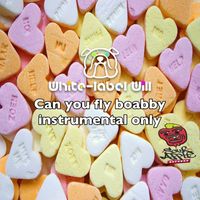 White Label Will - Can you fly Boabby INSTRUMENTAL