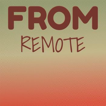 Various Artists - From Remote