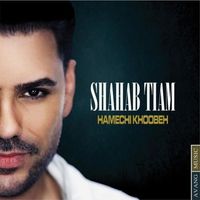 Shahab Tiam - Hamechi Khoobeh