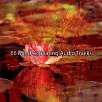 Zen Meditation and Natural White Noise and New Age Deep Massage - 66 Mind Activating Audio Tracks