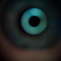 The Alto Sanctuary - Sapphire Eye
