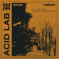 Acid Lab - Wait No More