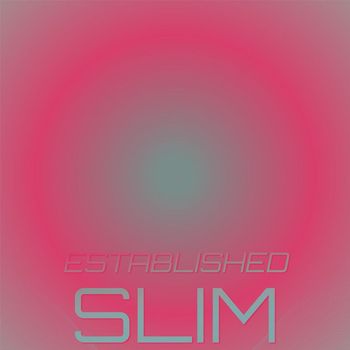 Various Artists - Established Slim