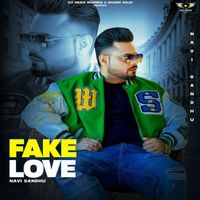 Navi Sandhu - Fake Love