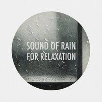 Trausch - Sound Of Rain For Relaxation