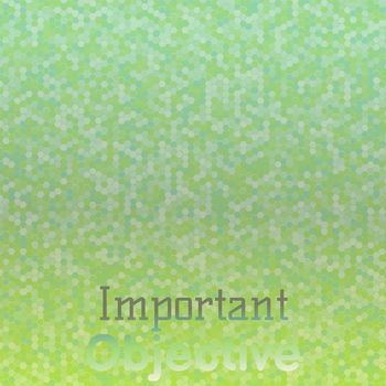Various Artists - Important Objective