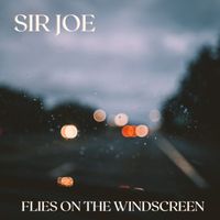 Sir Joe - Flies on the Windscreen