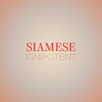 Various Artists - Siamese Ignipotent