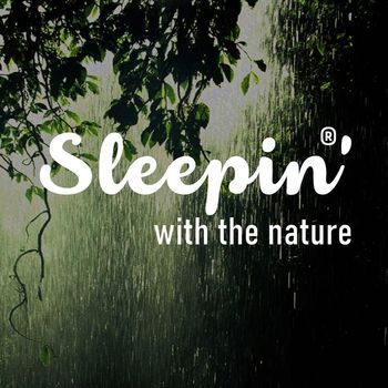 Sleepin' with the Nature - Relaxing Sound of Rain and Wind in Forest (Vol 01)
