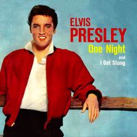Elvis Presley - One Night and I Got Stung