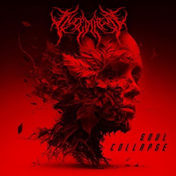 BLEED THE SKY - Soul Collapse (Explicit)