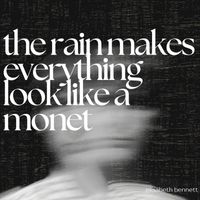 Elisabeth Bennett - The Rain Makes Everything Look Like a Monet