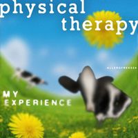 Physical Therapy - My Experience