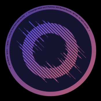 Jens Mueller - Iguana