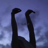 PALICA - Method