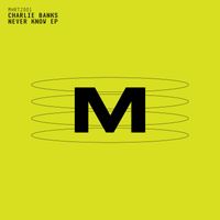 Charlie Banks - Never Know EP