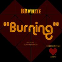 BBwhite - Burning