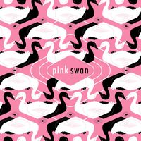 Pink Swan - Time to Leave