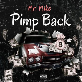 Mr. Mike - Pimp Back (Explicit)