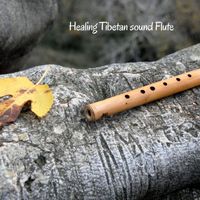Simone Del Freo, Massimo Guidi - Healing Tibetan sound Flute