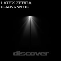 Latex Zebra - Black & White